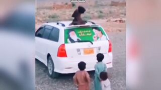 Imran Khan love