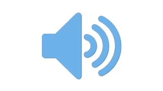 Mil Gai wicket sound effect no copyright