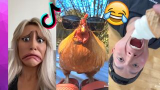 Tik Toks That I Watched After My Show