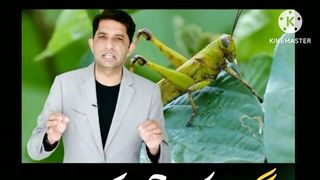 Apny ap ko kesy present kren..
