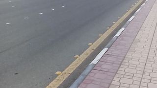 Nice coaster bus