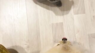 Fighting _Cat