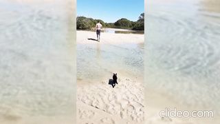 Funny cats in water 3 - Compilation