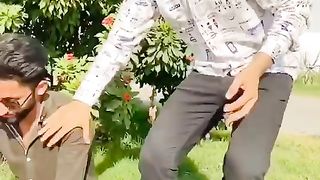 Whatsapp videos