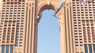 beautiful video clip