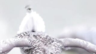 beautiful video