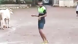 Best Cow playing football