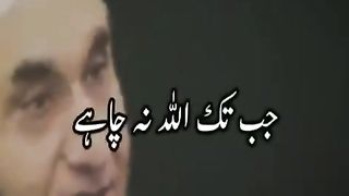 Moulana Tariq Jameel shb