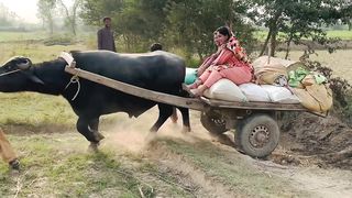 Punjabi Kudiyon Ke Anokhe Kaam Powerful Buffalo Cart Riding