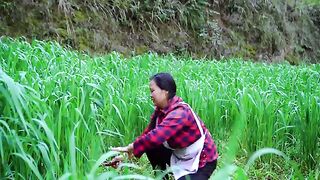 Cooking with Wild Ingredients from the Mountain.