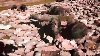 ایس ایس جی کمانڈوز کی ٹریننگ