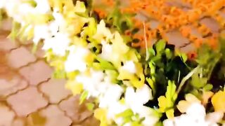 wedding Haldi Stages decoration with fresh flowers