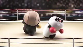 Boxing ???? panda