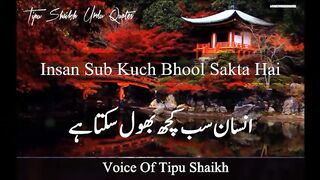 Dhoka Dane Walon Ko Kabhe Sakon Nahe Milta Alisha poetry
