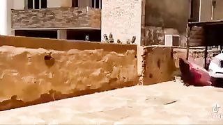 Funny video????????