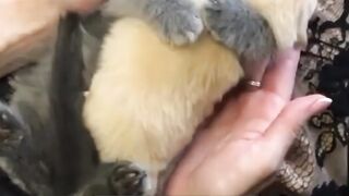 Best Friends Forever