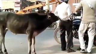 Ye kya ho gya es ke sath