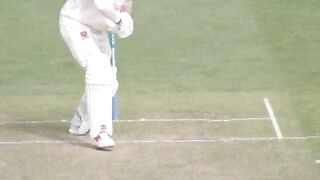 What a catch by young man