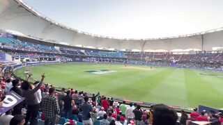 Cricket