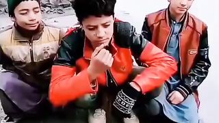 Funny videos