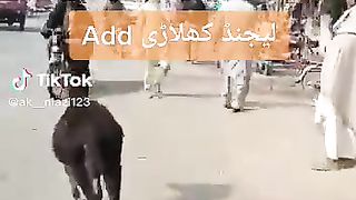 شہباز شریف روک ہو