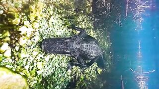 Rate this video