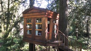 TreeHouse