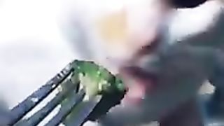 Les Vidéos De Chats Les Plus Drôles Sur Internet  ????????????
