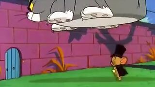 Tom vs Jerry carton funny