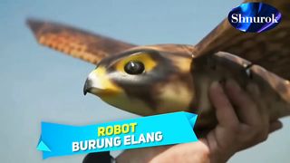 Look soon!!!ROBOT BINATANG SUPER CANGGIH, Dibuat Untuk Menyaingi Binatang Asli? Video 2023