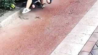 Collection of Cute Videos PART 12