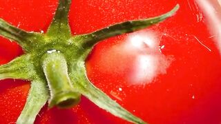 Zooming into a tomato..