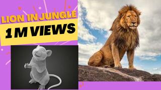 lion in a jungle English hindi story | jungle story