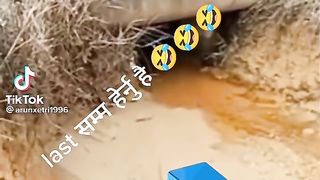 Funny video full fun