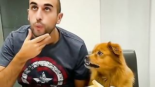 Cute dog eating prank video