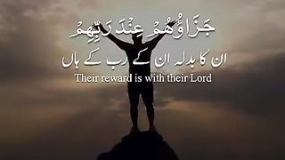 Very nice tilawt e Quran e pak with translation