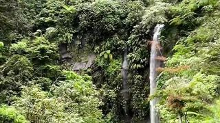 Back to nature