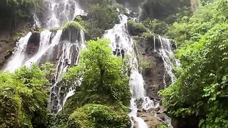 Beautiful and nature