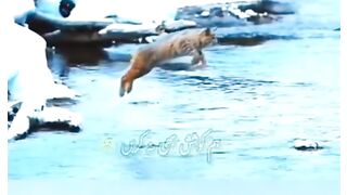 منزل ملے یا نا ملے یہ مقدر کی بات ہے۔