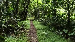 Healing power of nature and forest sounds