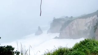 Wild and nature