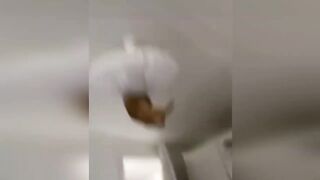 FUNNY VIDEOS FROM TIK TOK | 10 MINUTES OF LAUGHTER TO TEARS