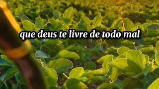 Mensagens motivacionais se escreva no canal e comenta que sigo vc de volta