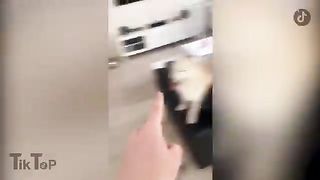 Tiktok marrant