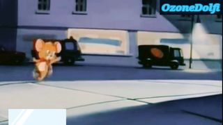 Tom and Jerry show| Kid's Cartoon | Animation