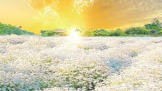 Nature beauty View