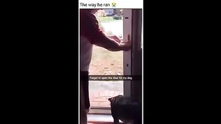Instant regret # most funny fail ????