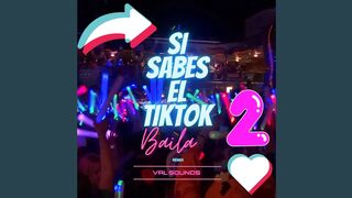 Si Sabes El Tiktok Baila 2 (Remix)