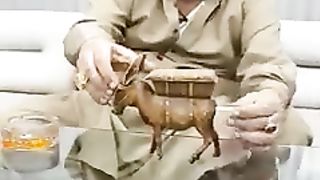 یہ دیکھو اب دیکھنا رہے گیا