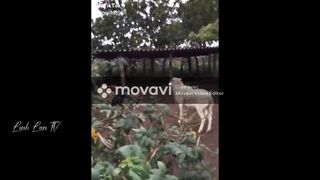 funy tiktok